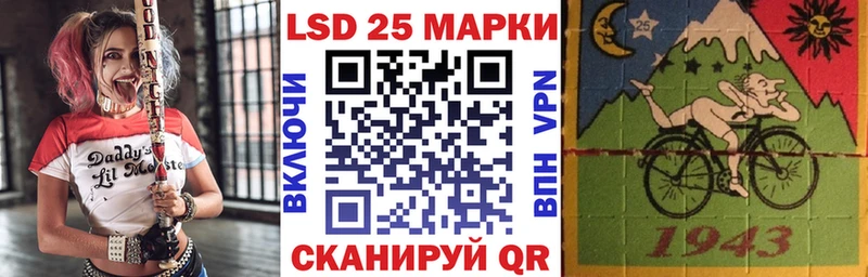 Купить закладки  Елизово  Наркотические марки 1,8мг 